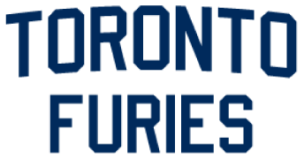 Toronto Furies 2011-Pres Wordmark Logo iron on heat transfer